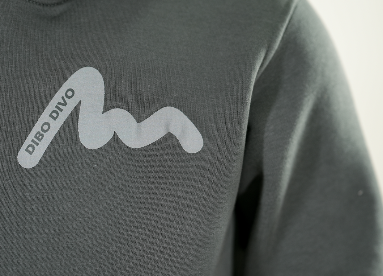 Gray Dibo Divo Wave Mark Hoodie