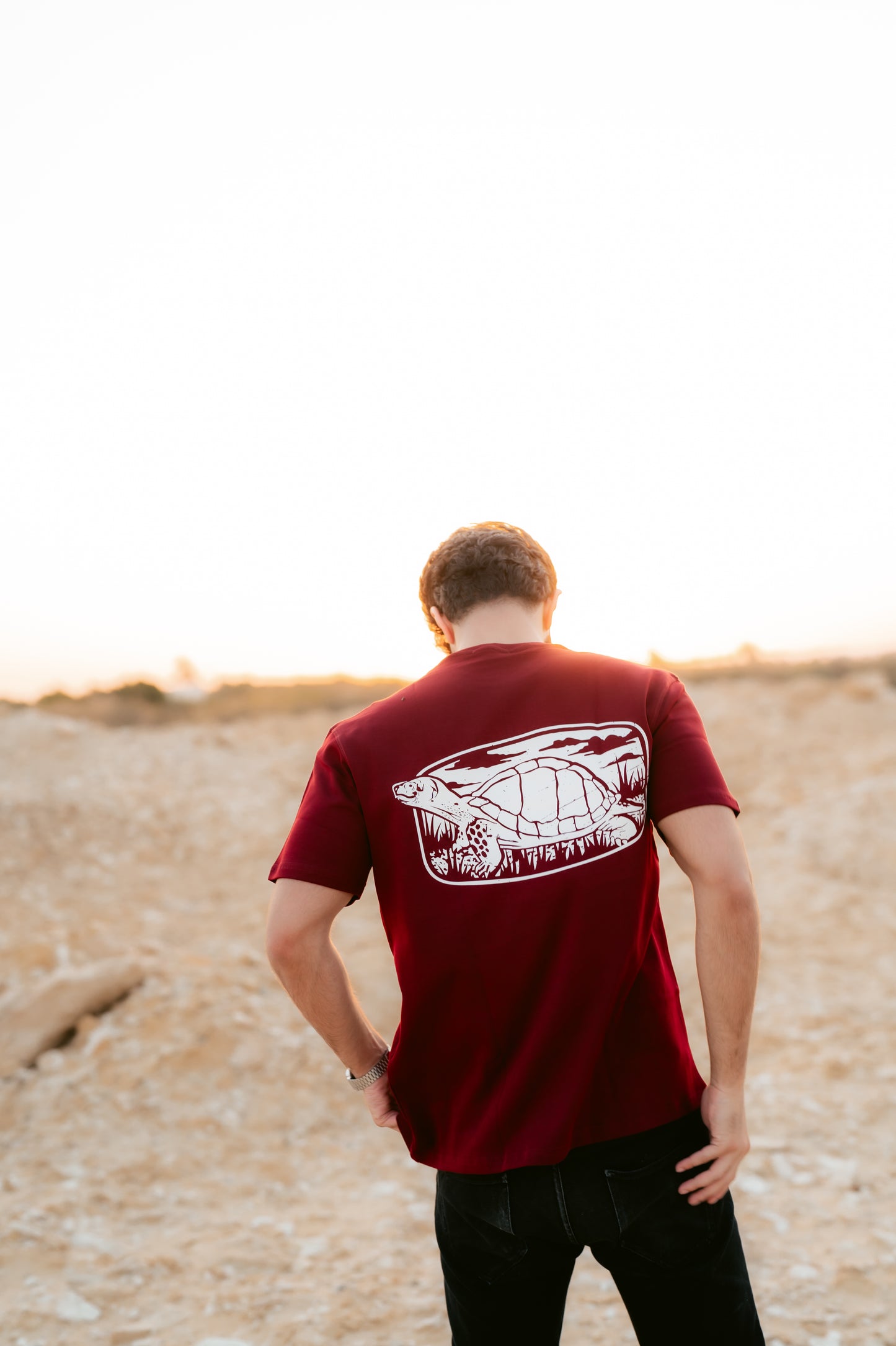 Burgundy Dibo Turtle