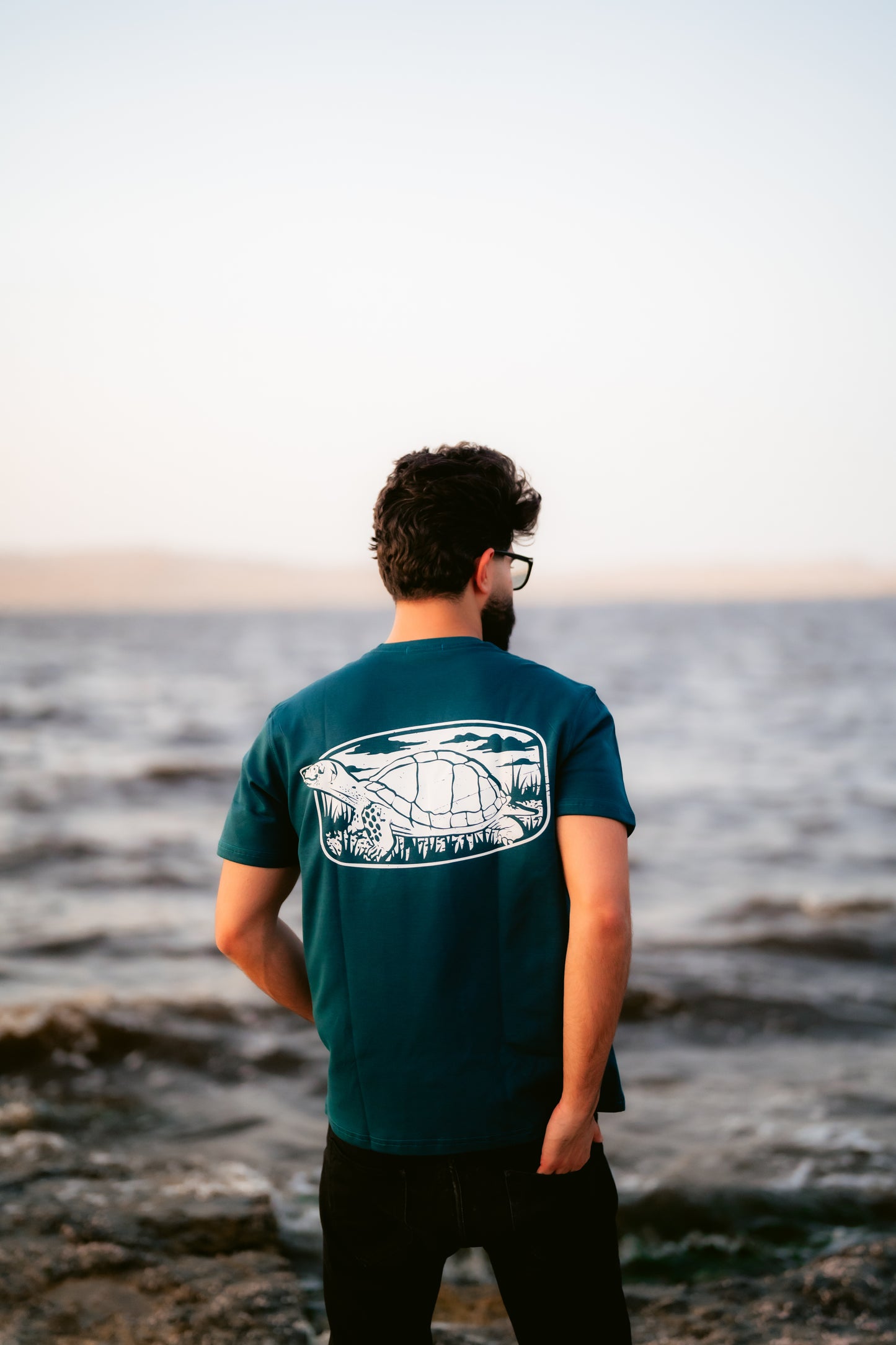 Teal Dibo Turtle