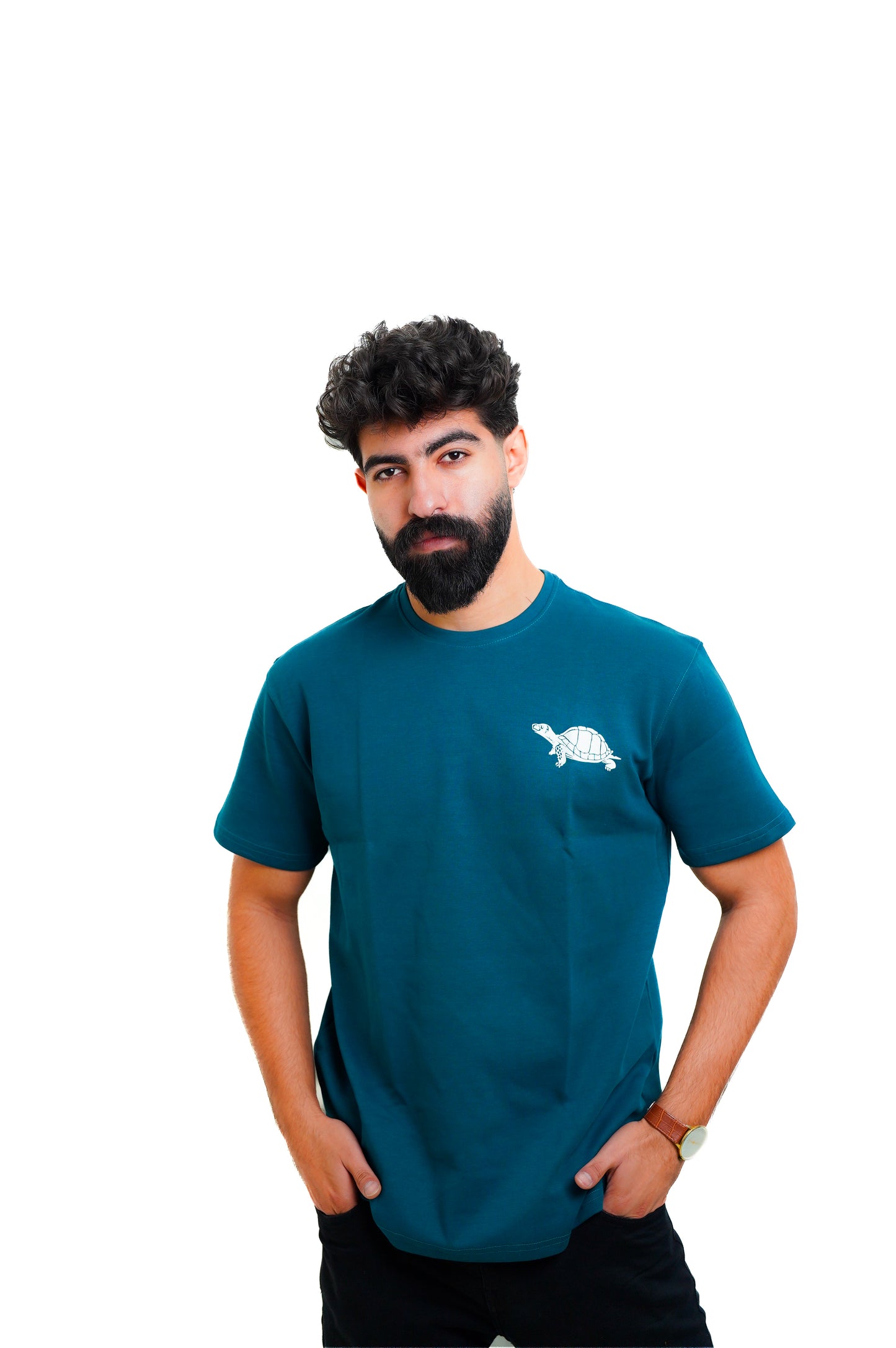 Teal Dibo Turtle