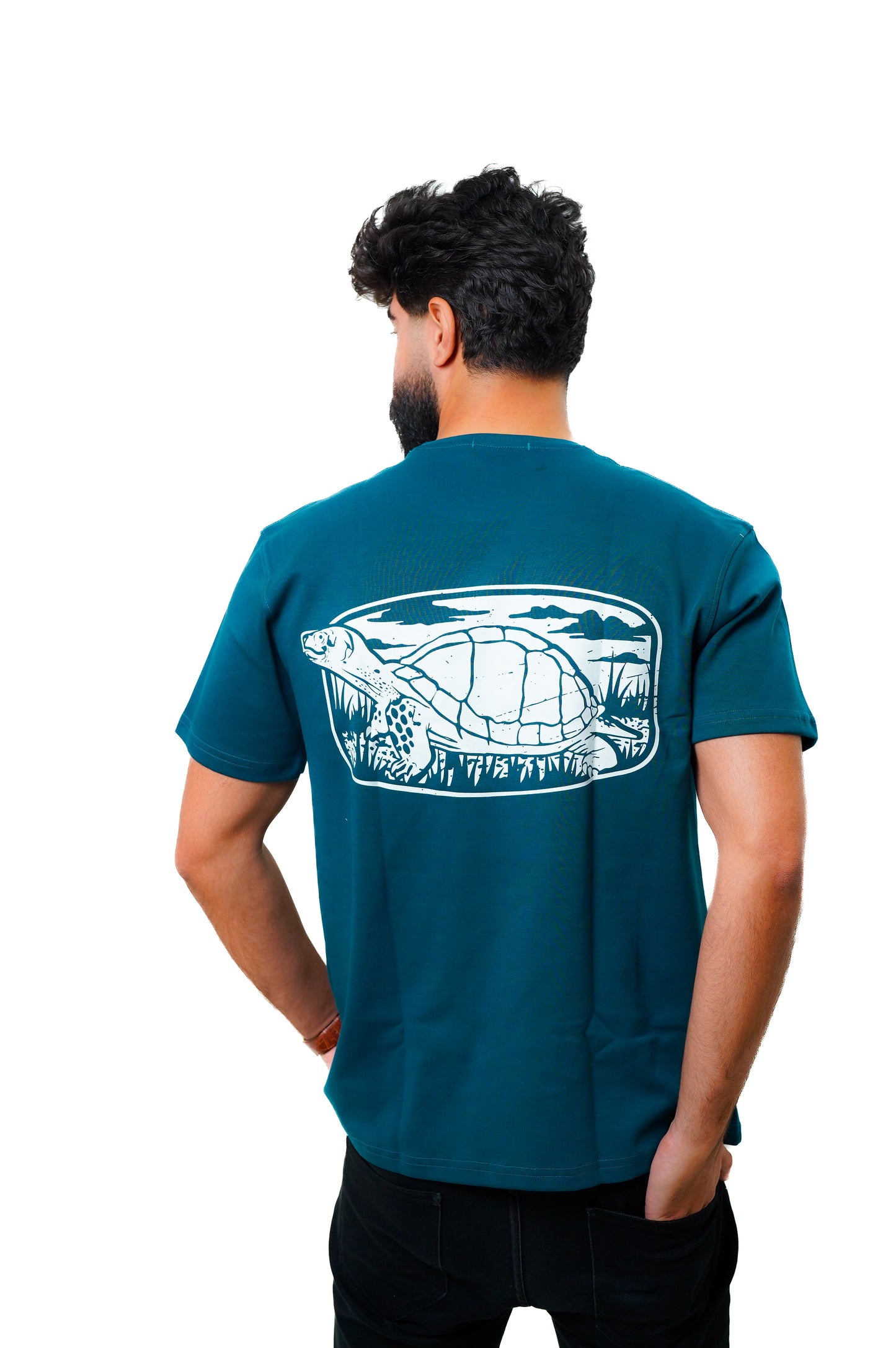 Teal Dibo Turtle