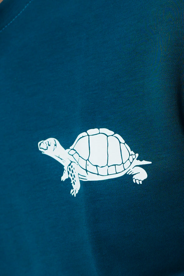 Teal Dibo Turtle
