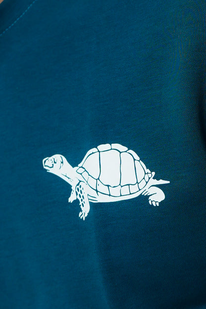Teal Dibo Turtle
