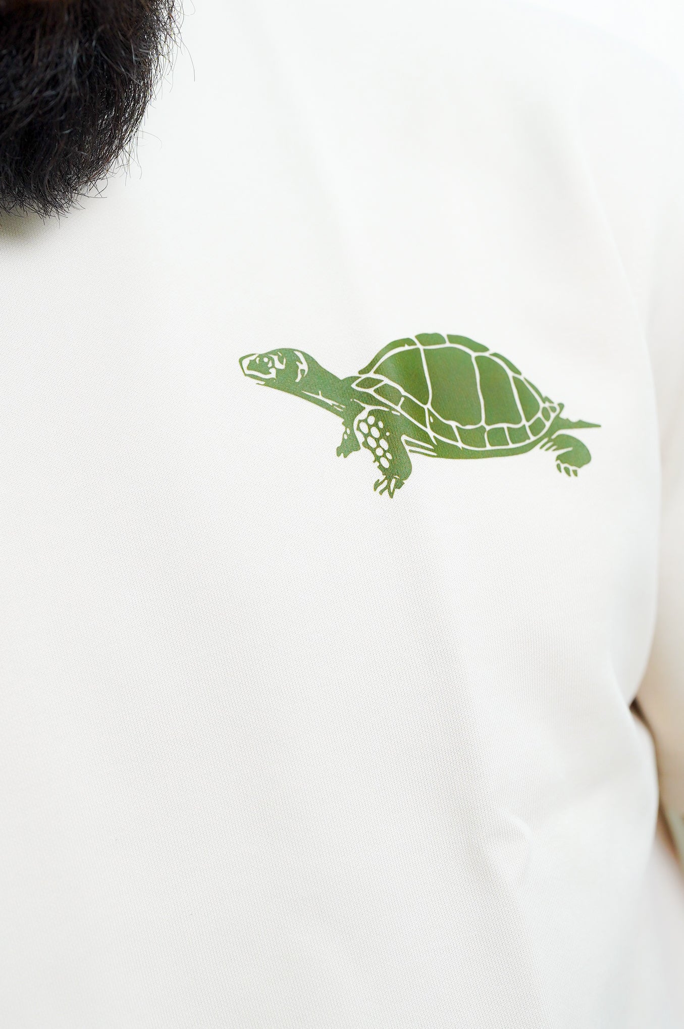 Beige Dibo Turtle