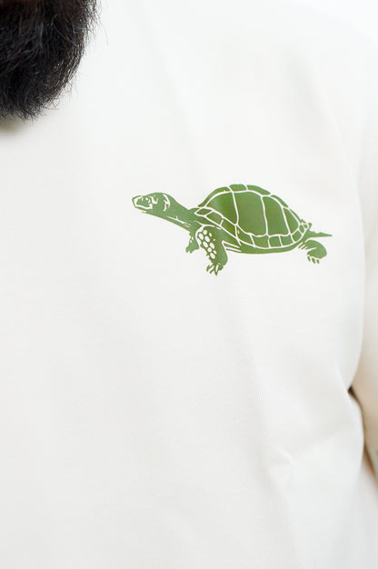 Beige Dibo Turtle