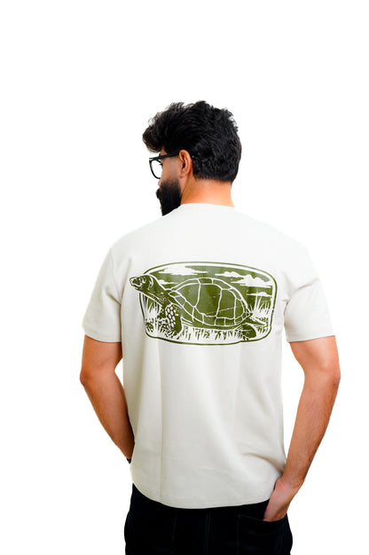 Beige Dibo Turtle