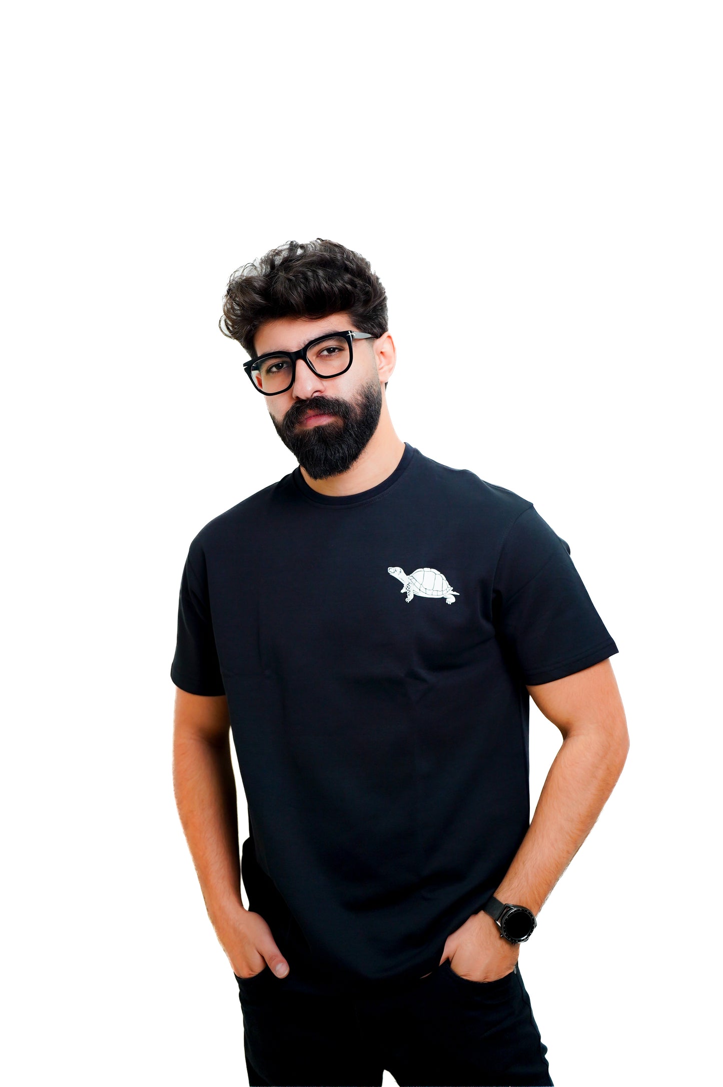Black Dibo Turtle