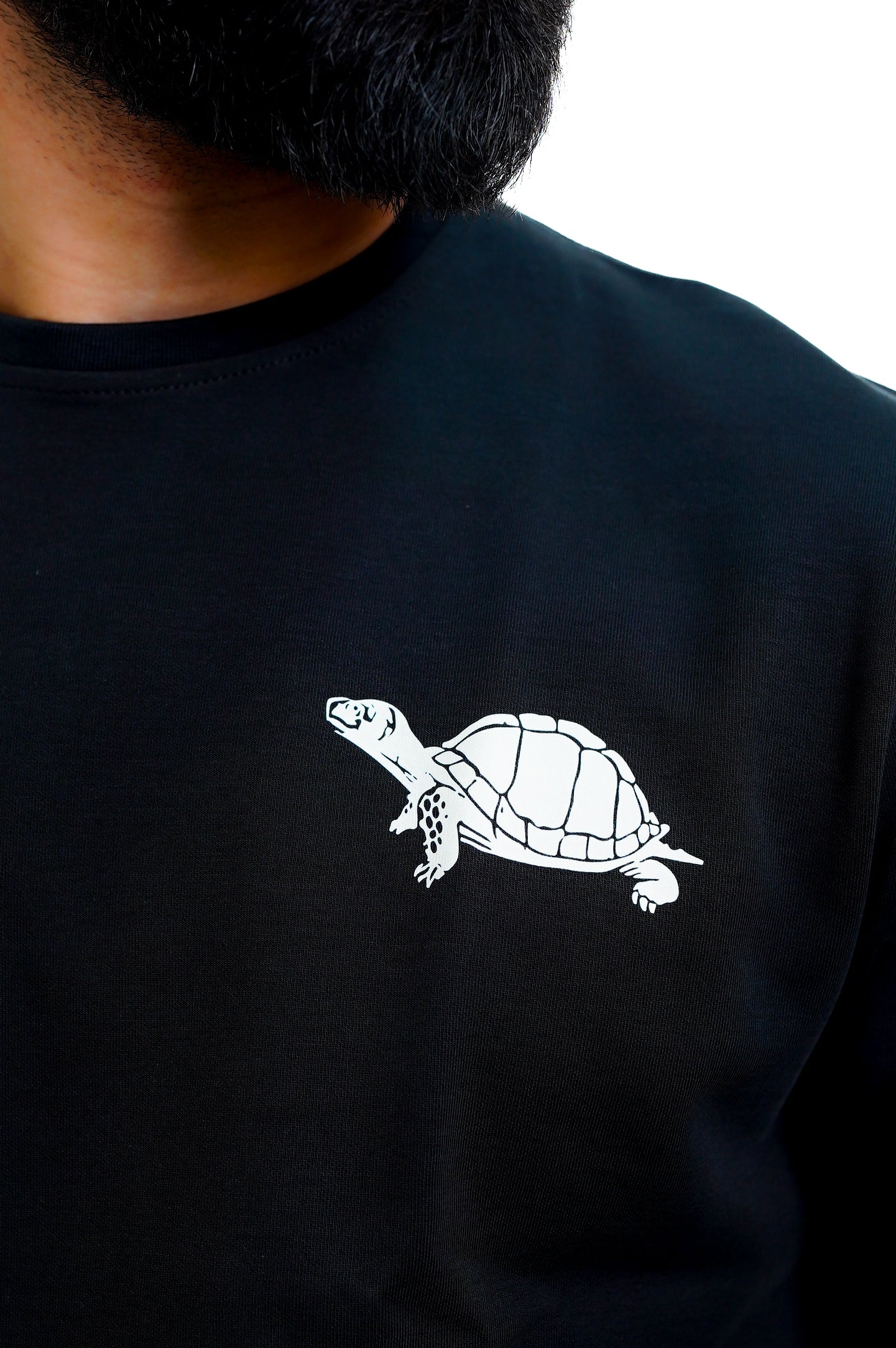 Black Dibo Turtle